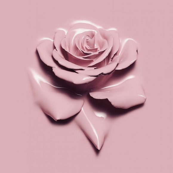 Meet your Posher, Tracy - Picture 1 of 1